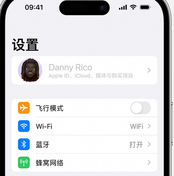 怀宁appleID维修服务iPhone设置中Apple ID显示为灰色无法使用 