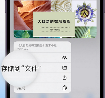 怀宁apple维修中心分享iPhone文件应用中存储和找到下载文件