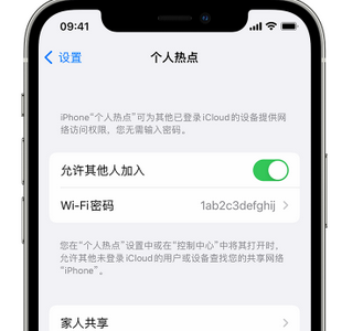 怀宁apple服务站点分享iPhone上个人热点丢失了怎么办