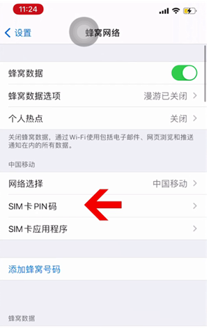 怀宁苹果14维修网分享如何给iPhone14的SIM卡设置密码 