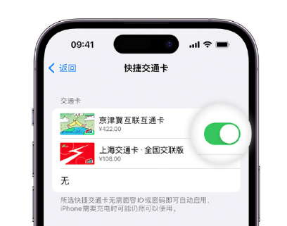 怀宁apple维修点分享iPhone上更换Apple Pay快捷交通卡手绘卡面 