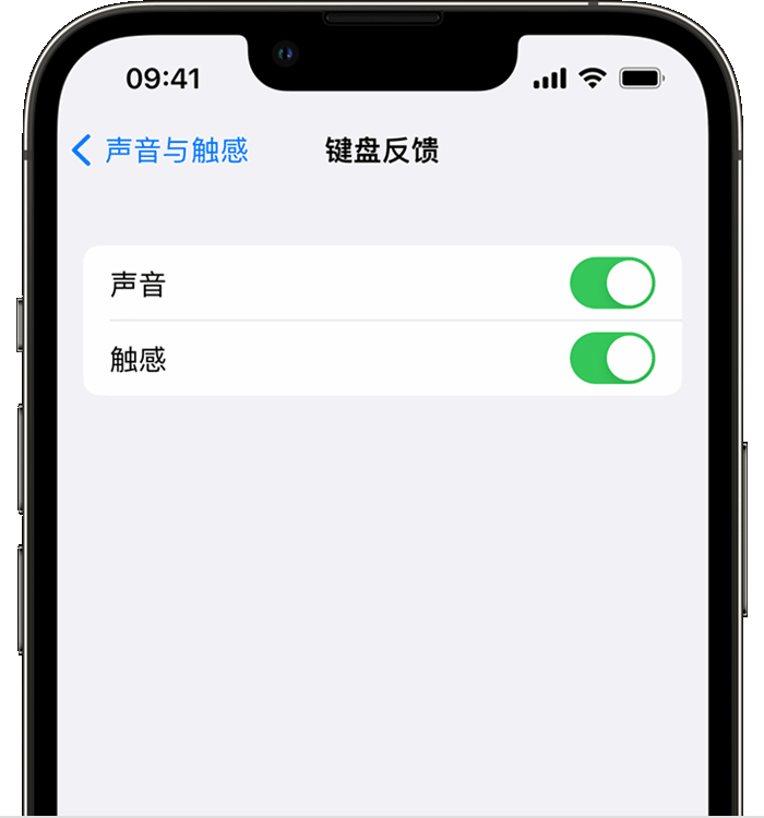 怀宁苹果14维修店分享如何在 iPhone 14 机型中使用触感键盘 