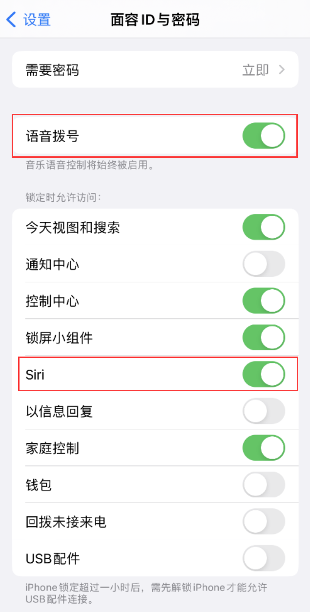 怀宁苹果维修网点分享不解锁 iPhone 的情况下通过 Siri 拨打电话的方法 