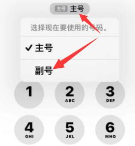 怀宁苹果14维修店分享iPhone 14 Pro Max使用副卡打电话的方法 