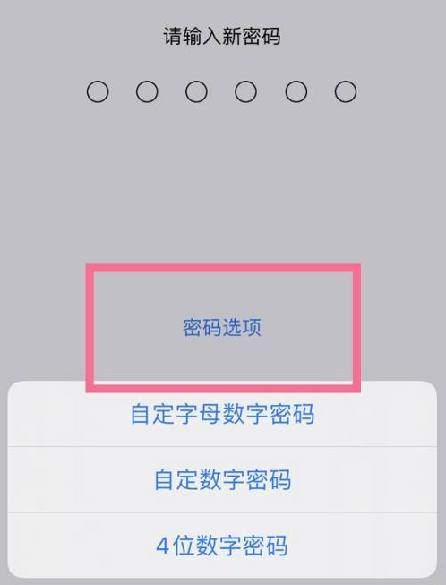 怀宁苹果14维修分享iPhone 14plus设置密码的方法 