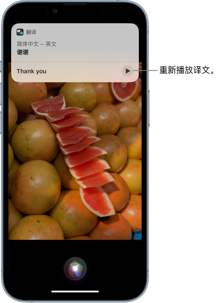 怀宁苹果14维修分享 iPhone 14 机型中使用 Siri：了解 Siri 能帮你做什么 