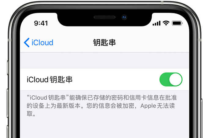 怀宁苹果手机维修分享在 iPhone 上开启 iCloud 钥匙串之后会储存哪些信息 